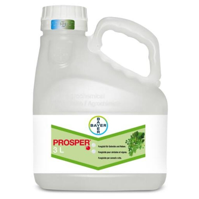 Description alternative par défaut