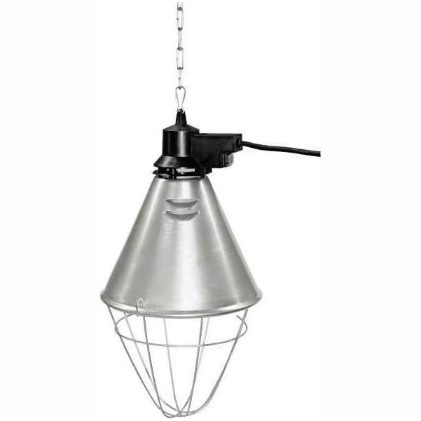 Description alternative par défaut