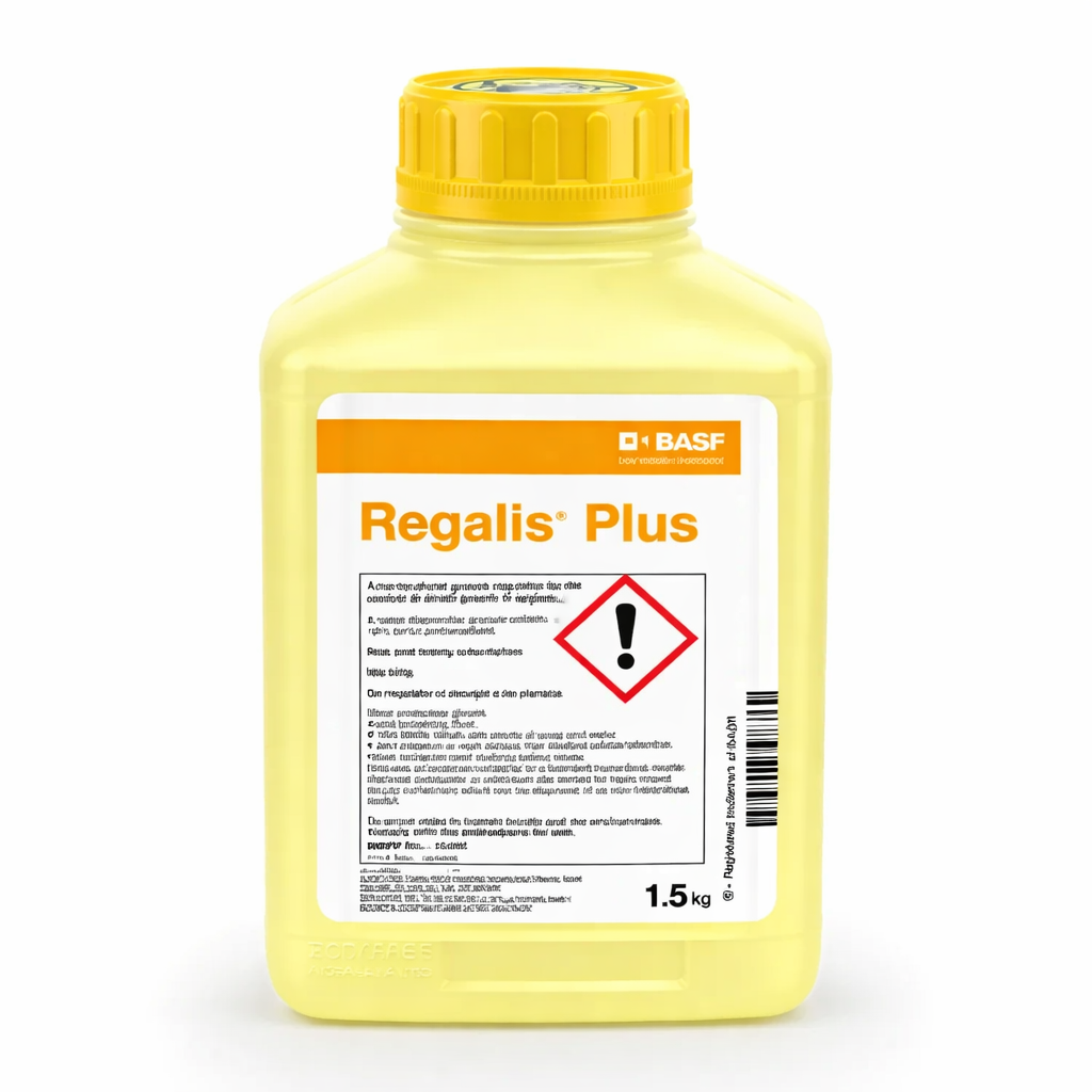 Description alternative par défaut