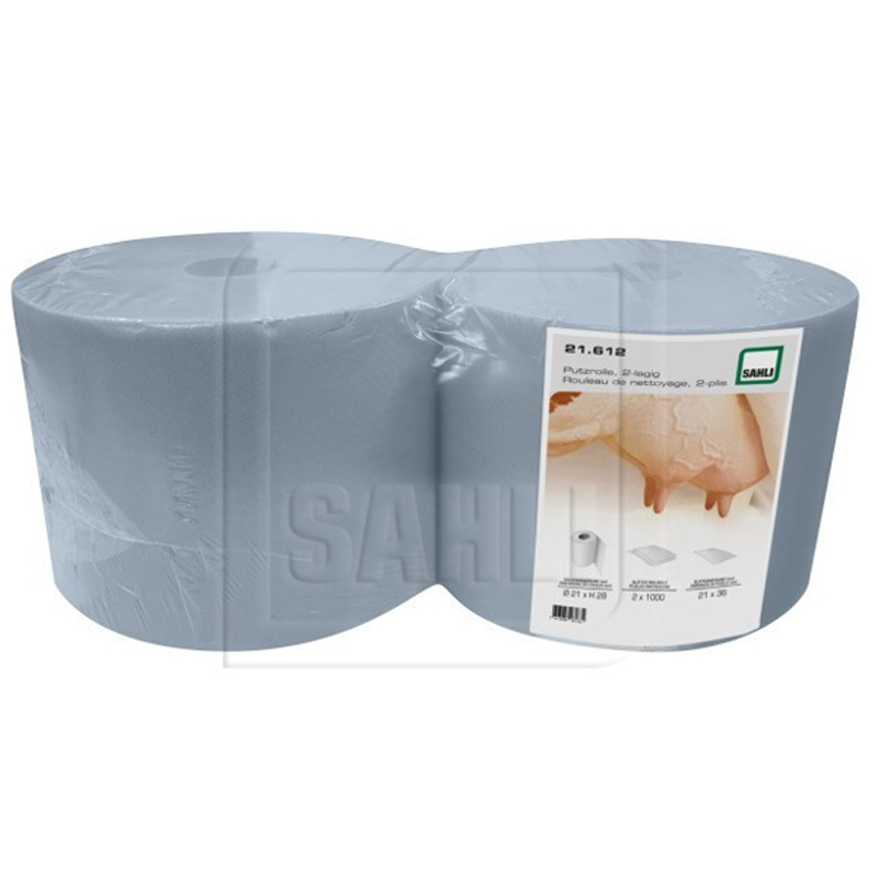 Description alternative par défaut