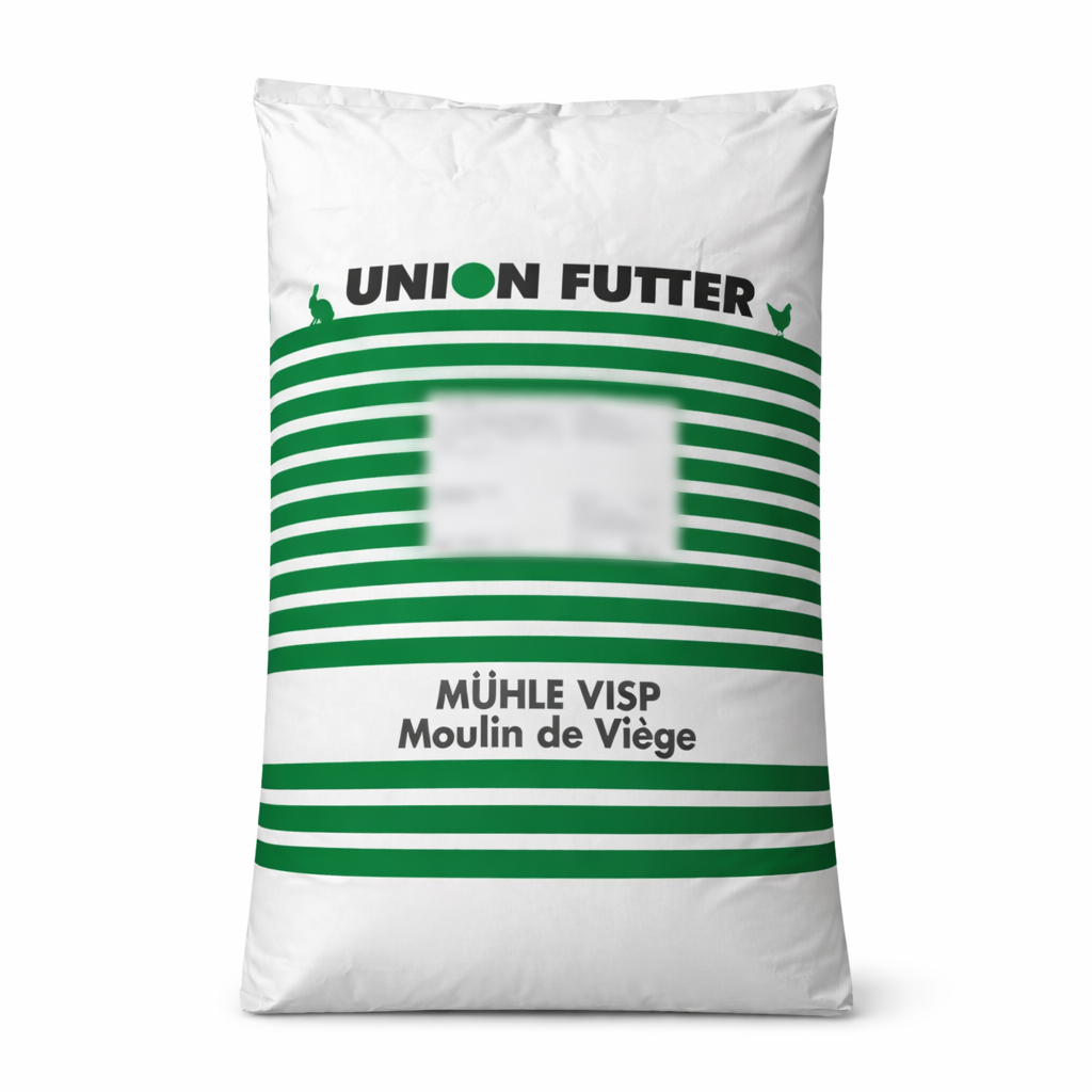 Description alternative par défaut