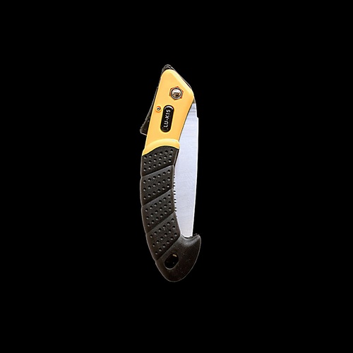 Description alternative par défaut