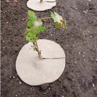 Description alternative par défaut