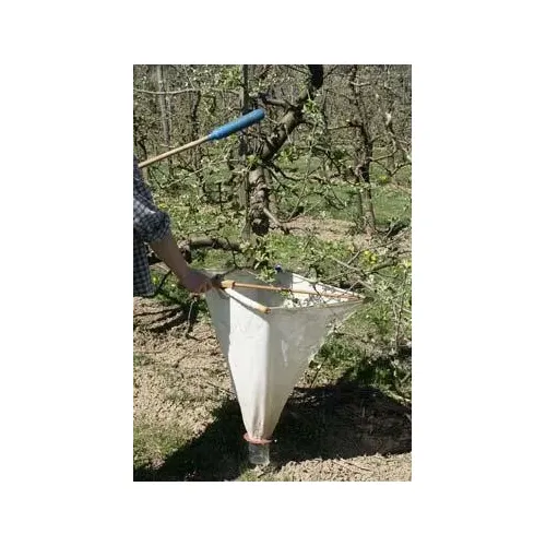 Description alternative par défaut