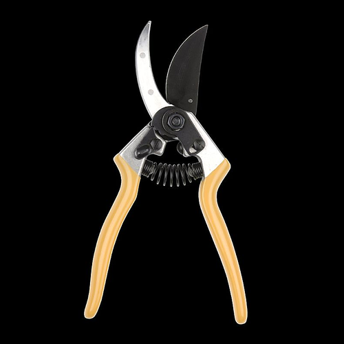 Description alternative par défaut