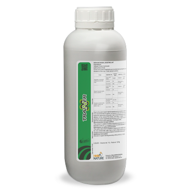 Description alternative par défaut