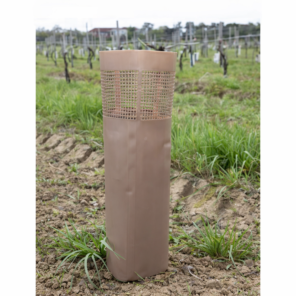 Description alternative par défaut