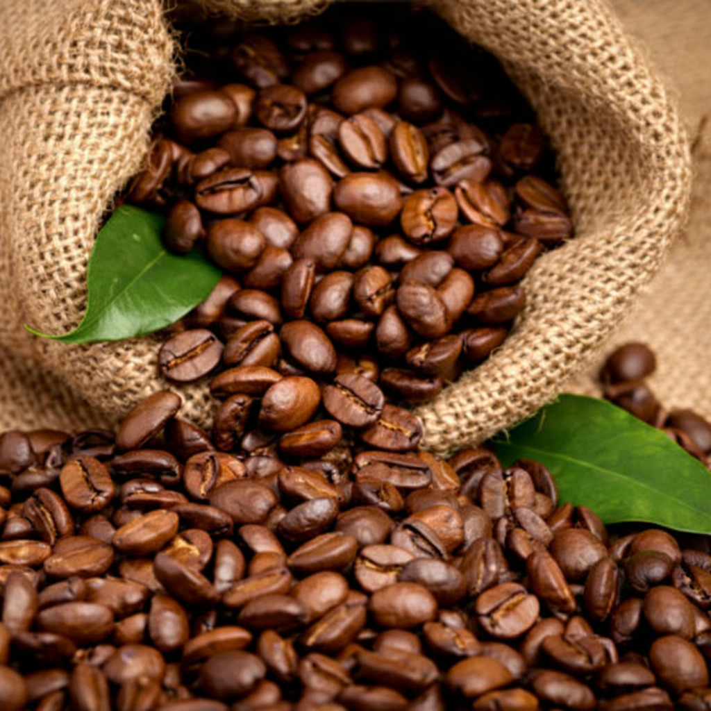 Description alternative par défaut