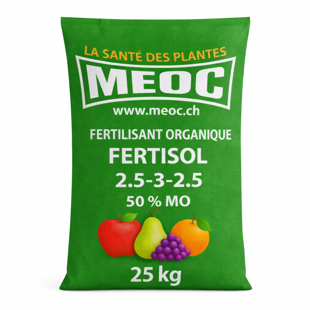 Description alternative par défaut