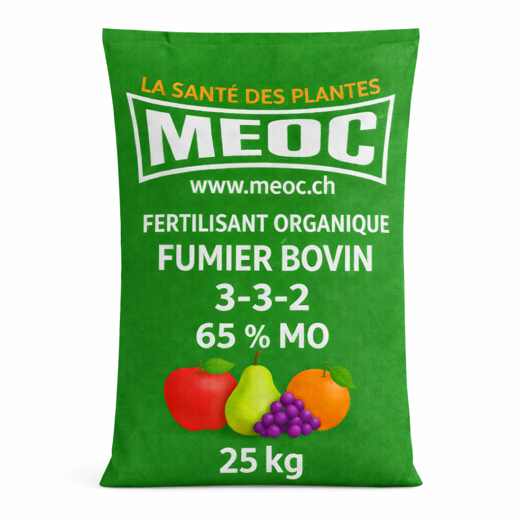 Description alternative par défaut