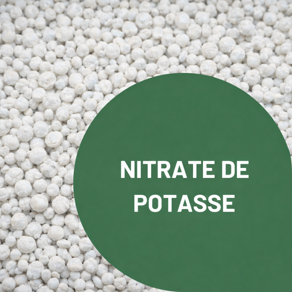 Description alternative par défaut