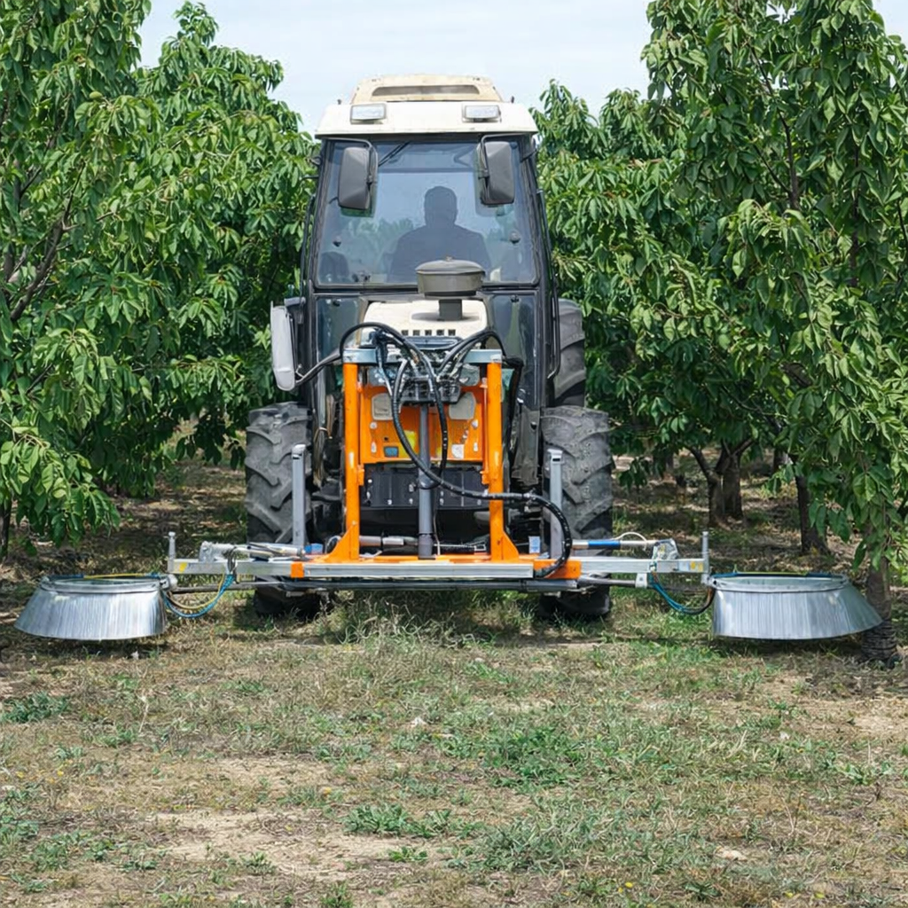 Description alternative par défaut