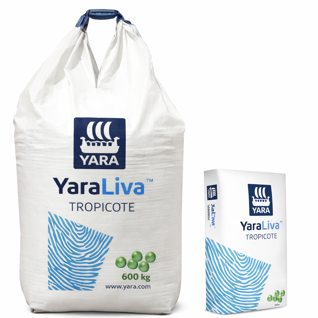 Description alternative par défaut